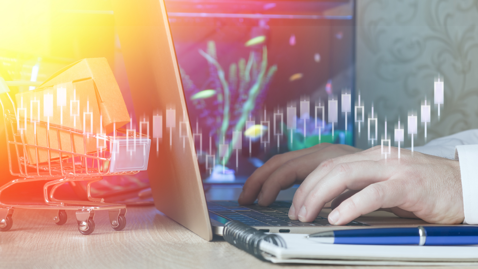 Articles 5 What Is Go High Level